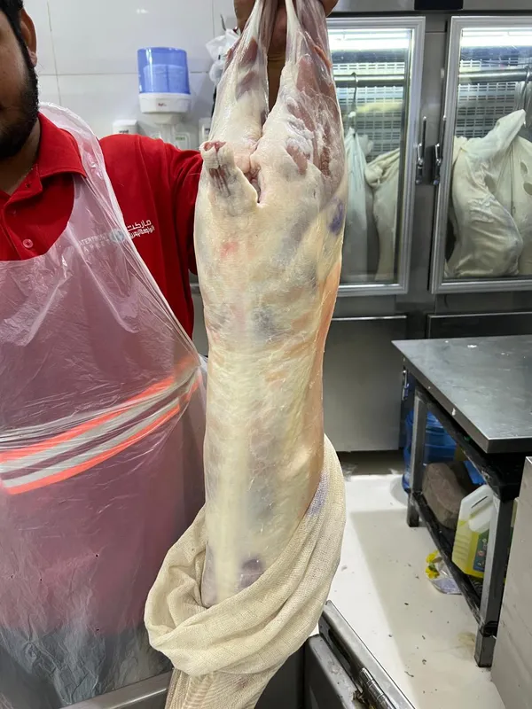 Frozen Mutton 2